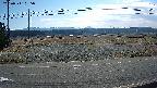 yotec5-20250311095056.jpg