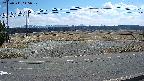 yotec5-20250311115058.jpg