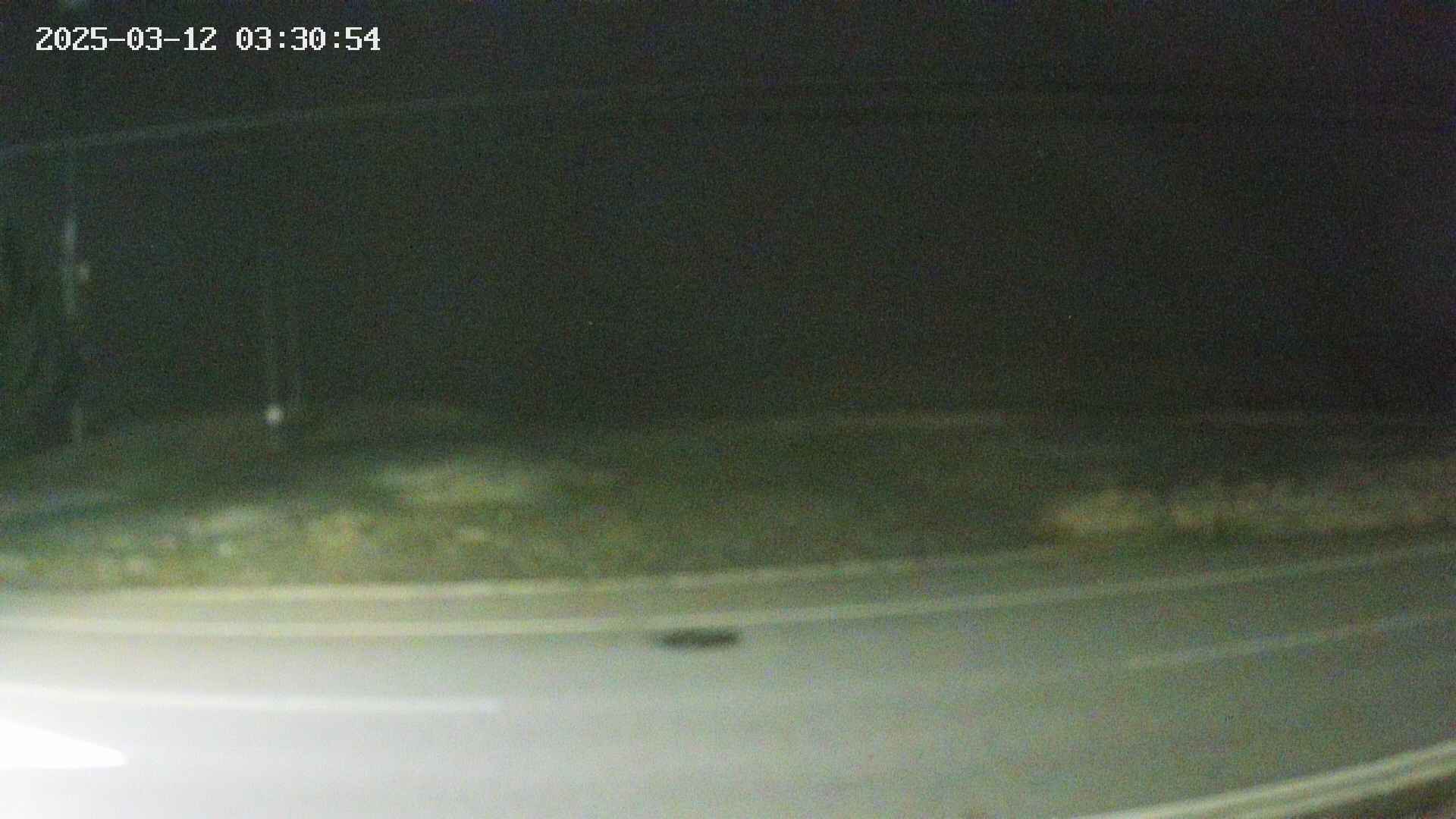 yotec5-20250312033055.jpg