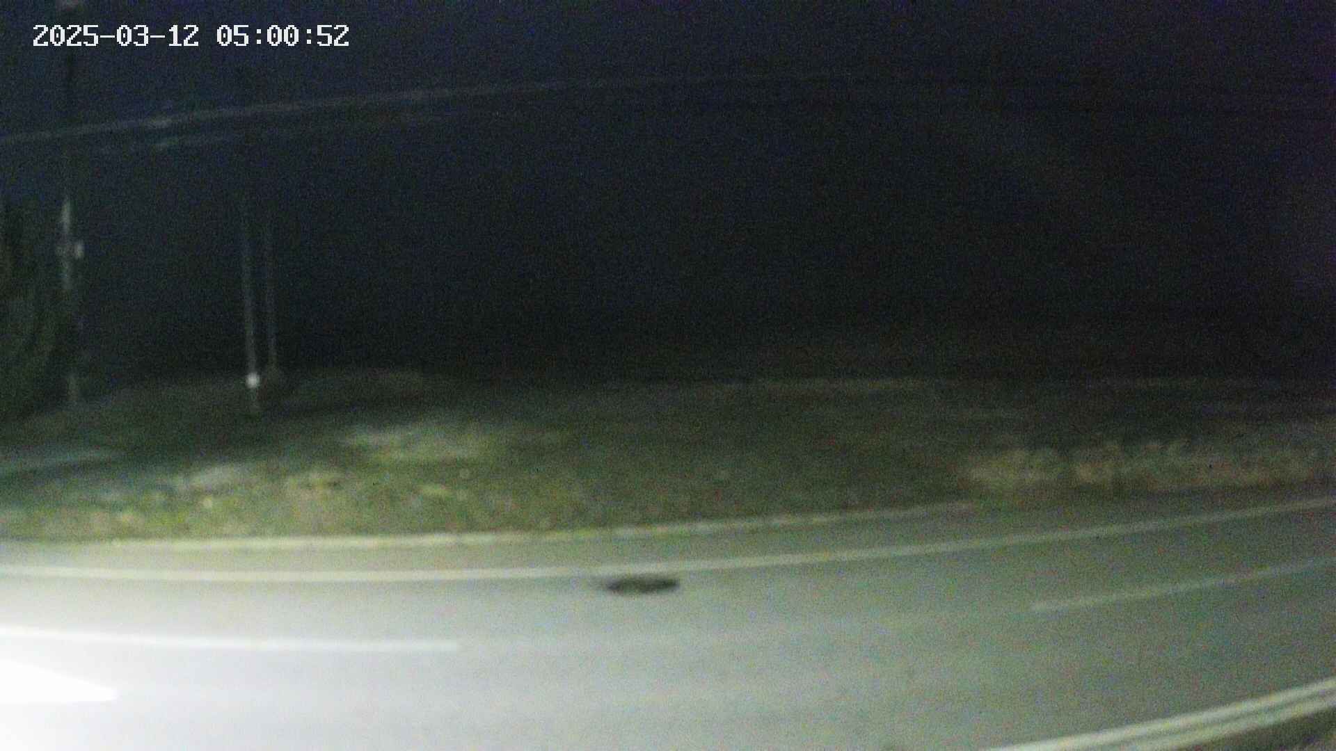 yotec5-20250312050054.jpg