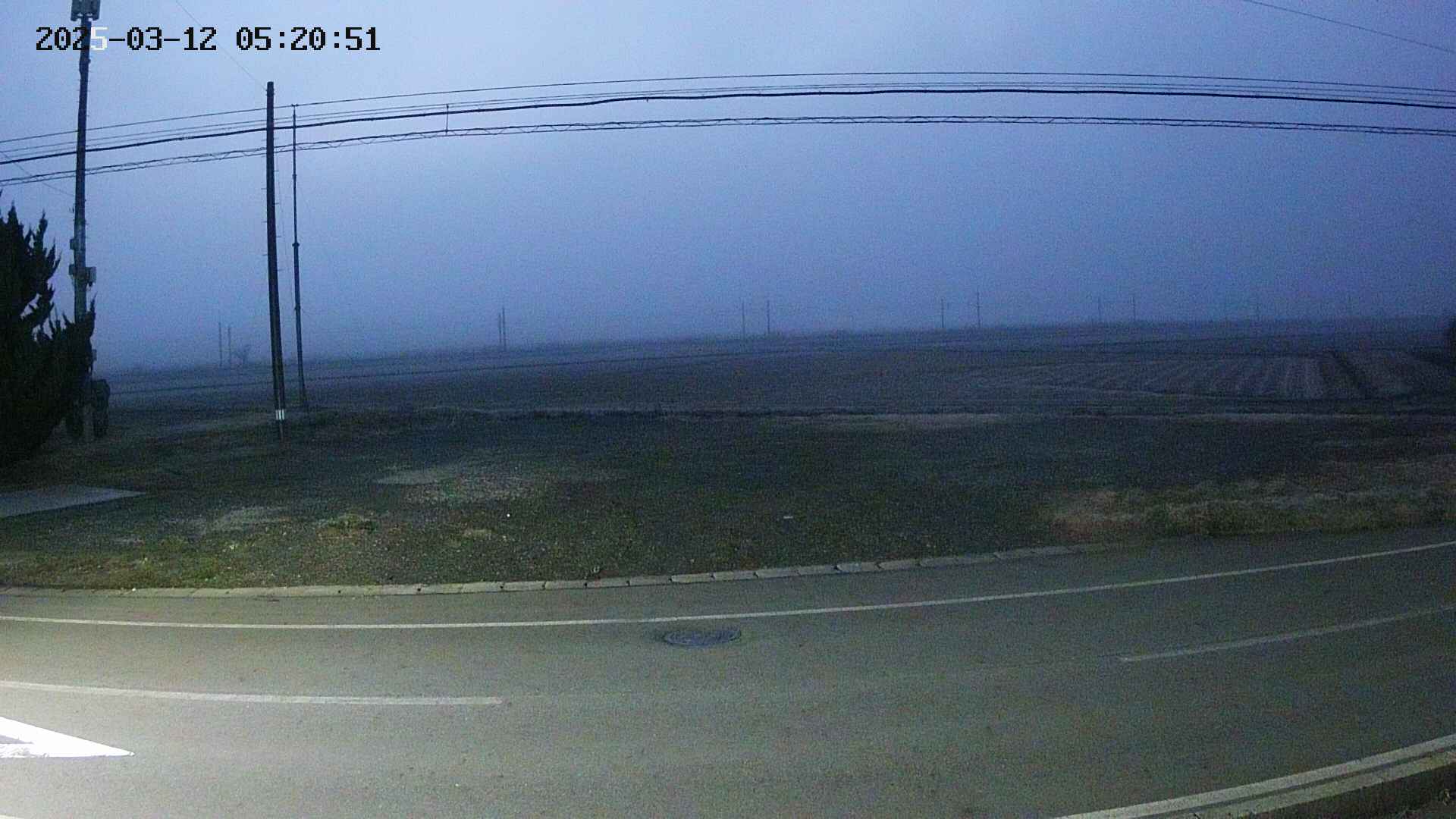 yotec5-20250312052053.jpg