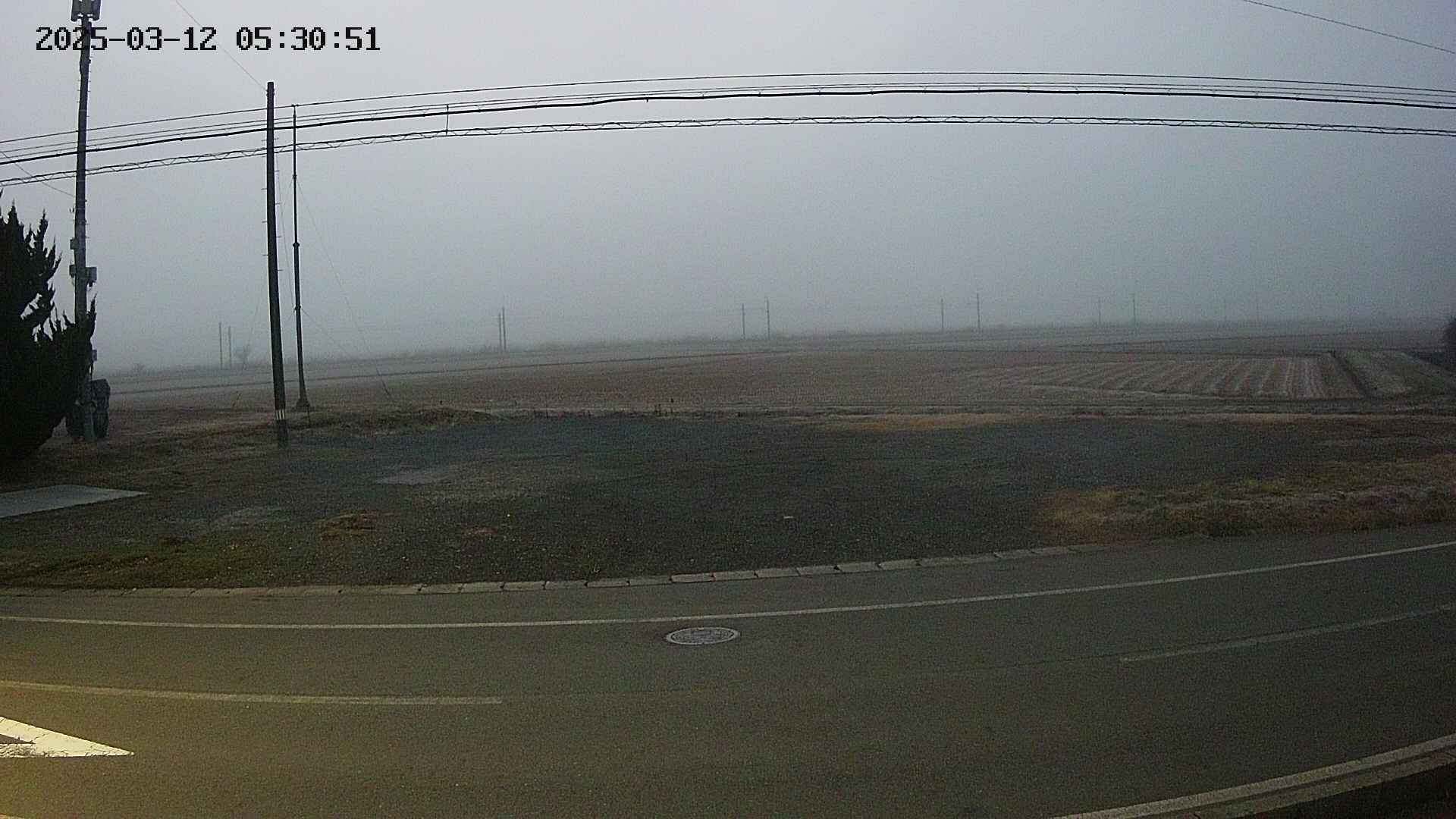 yotec5-20250312053052.jpg