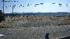 yotec5-20250312102056.jpg