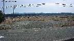 yotec5-20250312110057.jpg