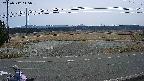 yotec5-20250312115054.jpg