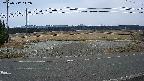 yotec5-20250312142056.jpg
