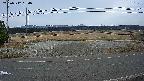 yotec5-20250312154056.jpg