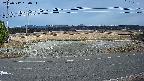 yotec5-20250312160055.jpg