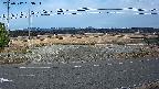 yotec5-20250312163055.jpg