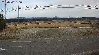 yotec5-20250312165057.jpg