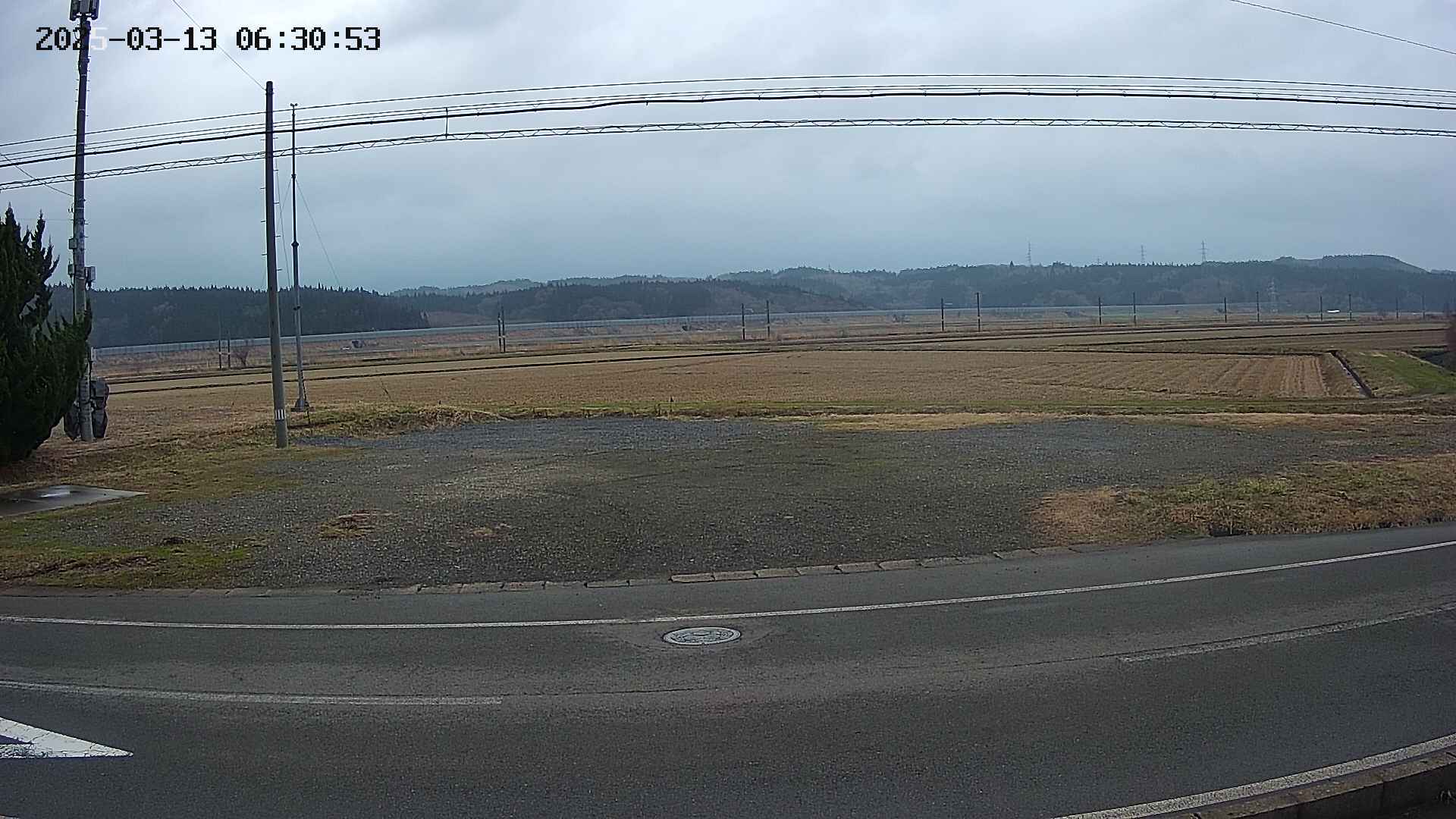 yotec5-20250313063055.jpg