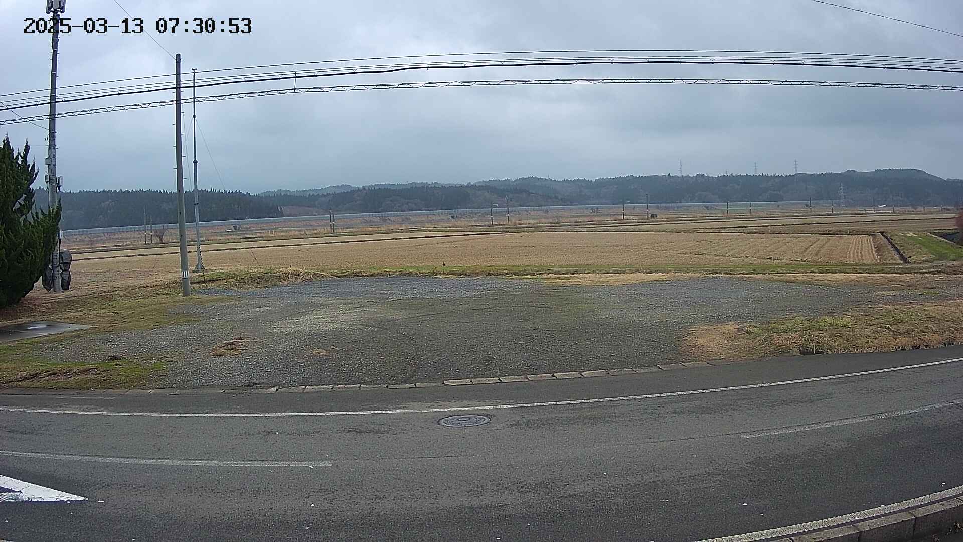 yotec5-20250313073054.jpg