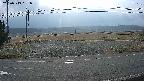 yotec5-20250313081054.jpg