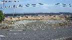 yotec5-20250313152055.jpg