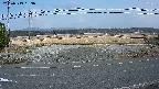 yotec5-20250313153056.jpg