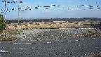 yotec5-20250313163056.jpg