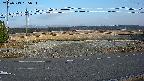 yotec5-20250313165055.jpg