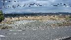 yotec5-20250314132053.jpg