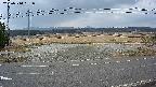 yotec5-20250314161056.jpg