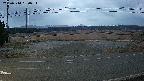 yotec5-20250314180055.jpg