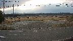 yotec5-20250315061053.jpg