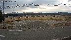 yotec5-20250315062055.jpg