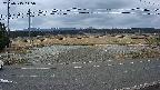 yotec5-20250315145057.jpg