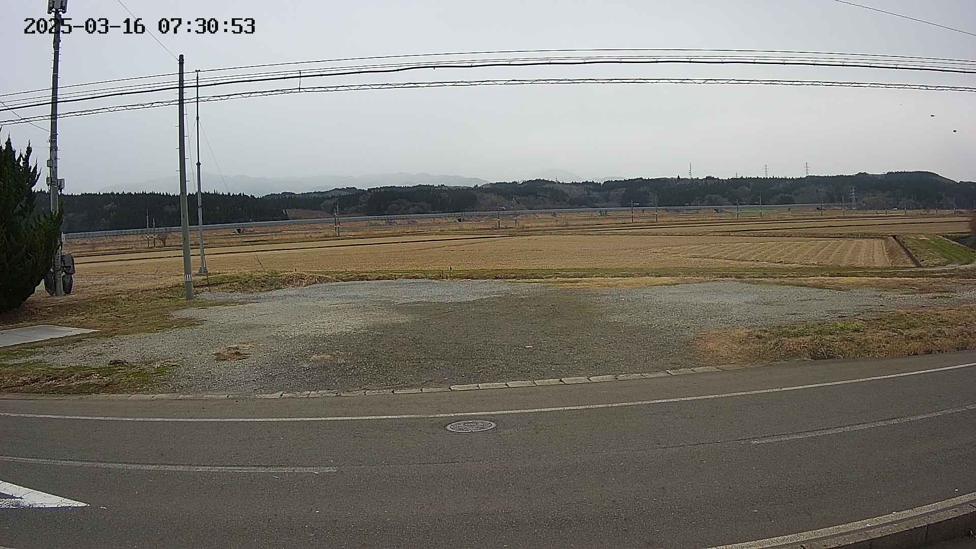 yotec5-20250316073055.jpg