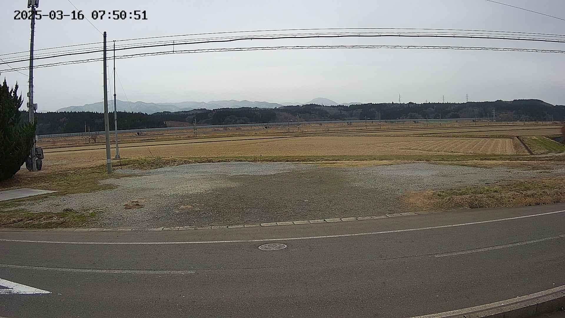 yotec5-20250316075053.jpg