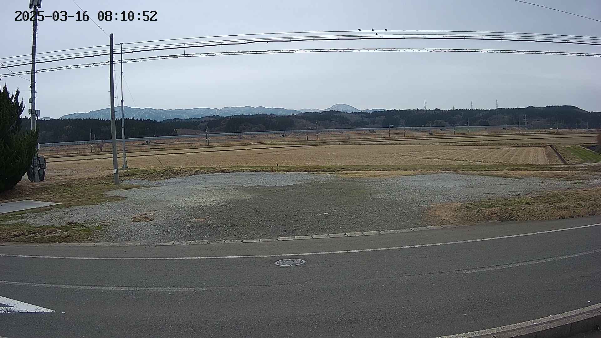 yotec5-20250316081053.jpg