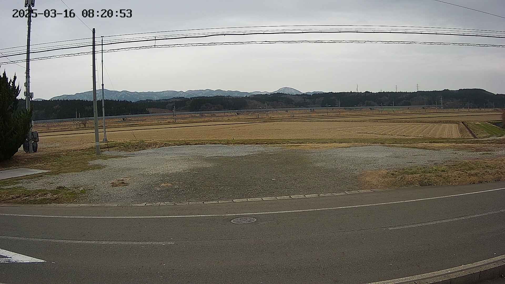 yotec5-20250316082054.jpg