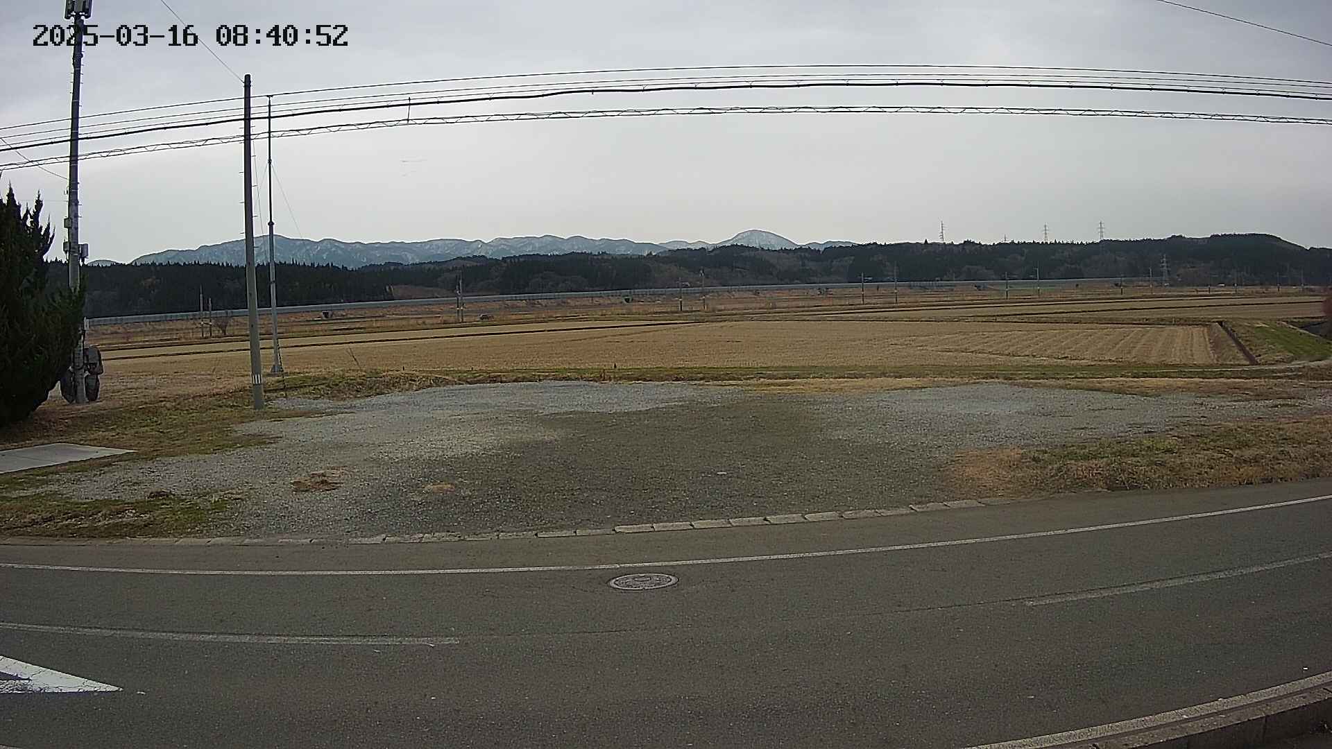 yotec5-20250316084054.jpg