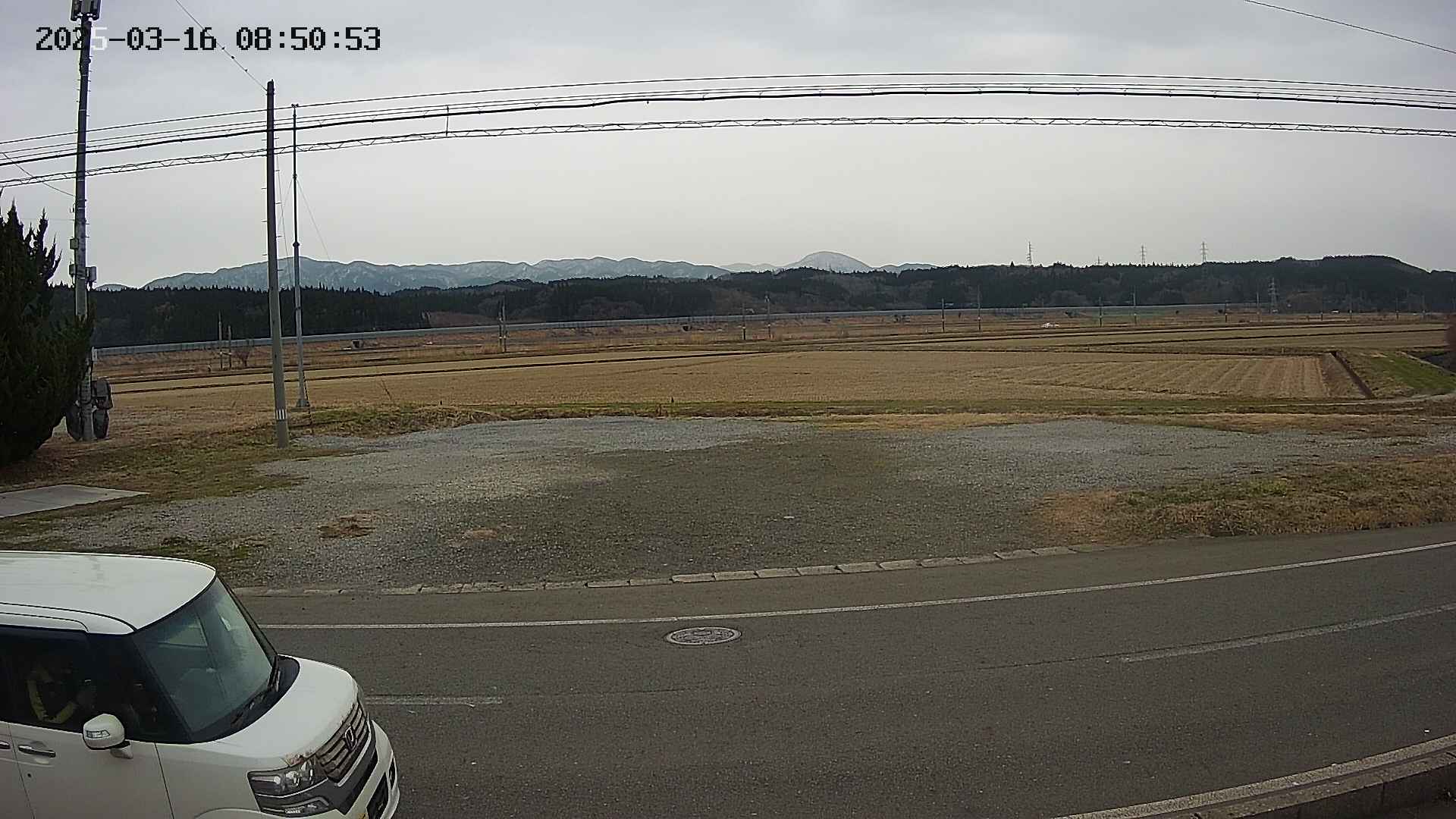 yotec5-20250316085055.jpg