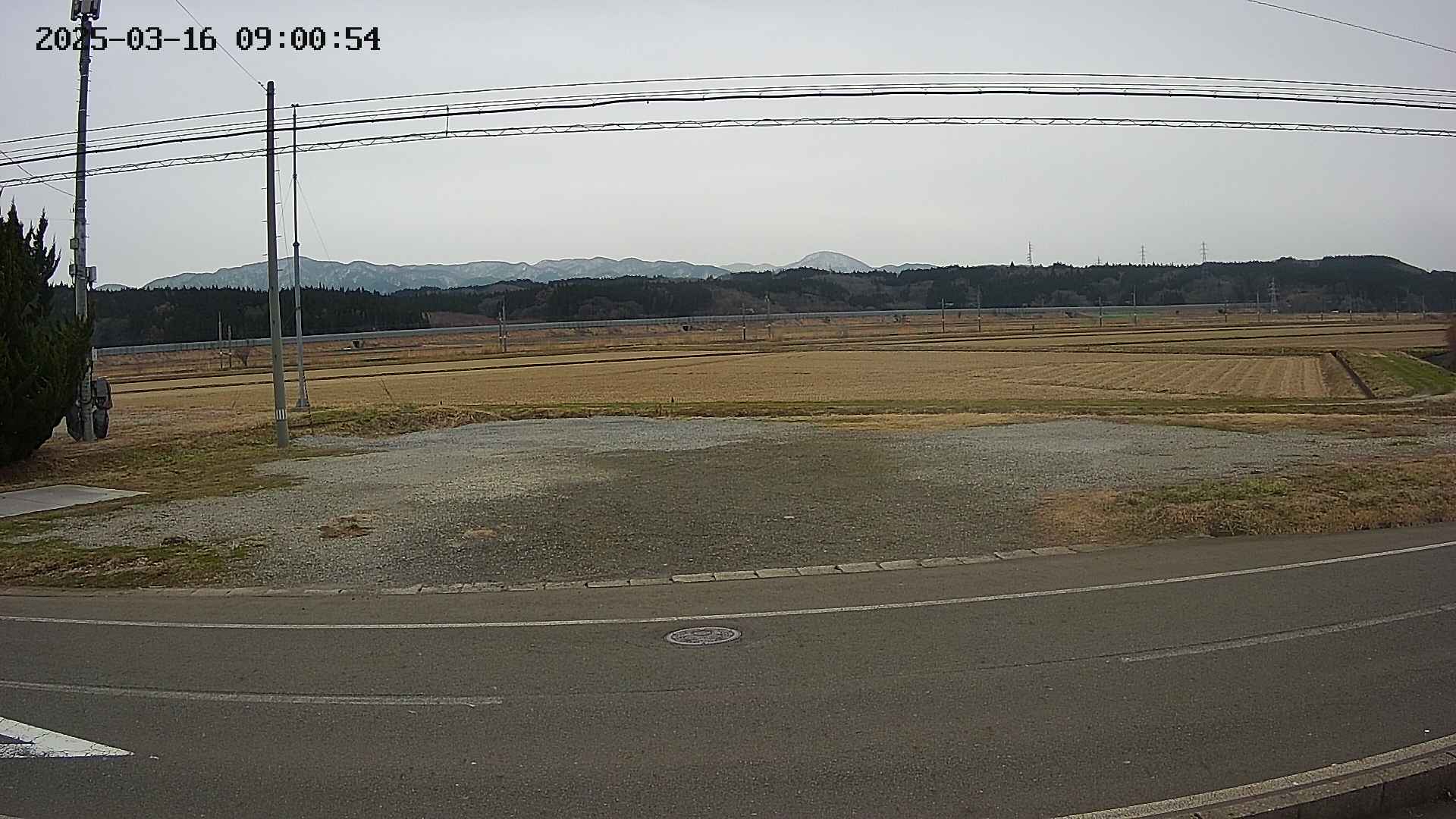 yotec5-20250316090056.jpg