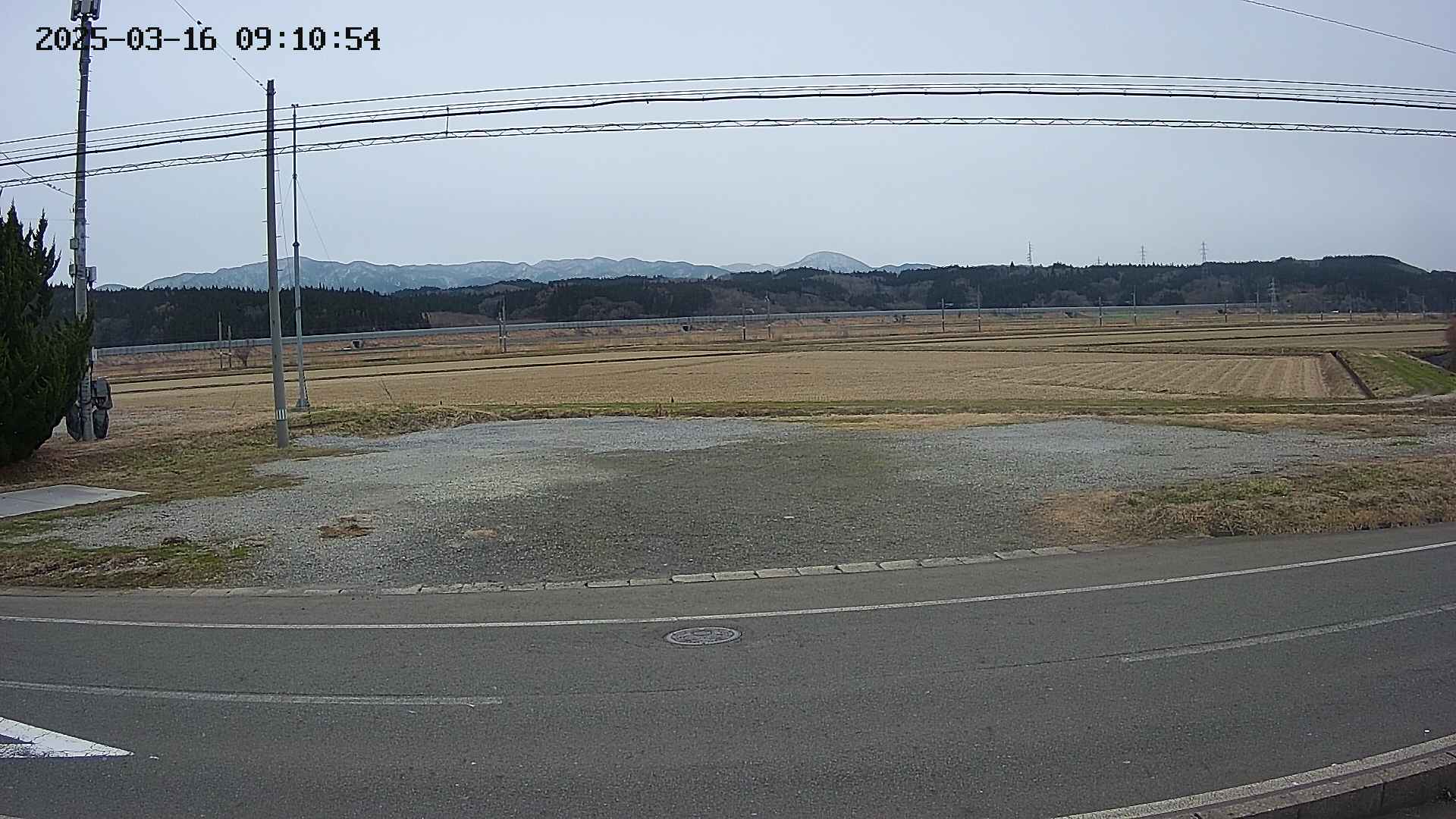 yotec5-20250316091056.jpg