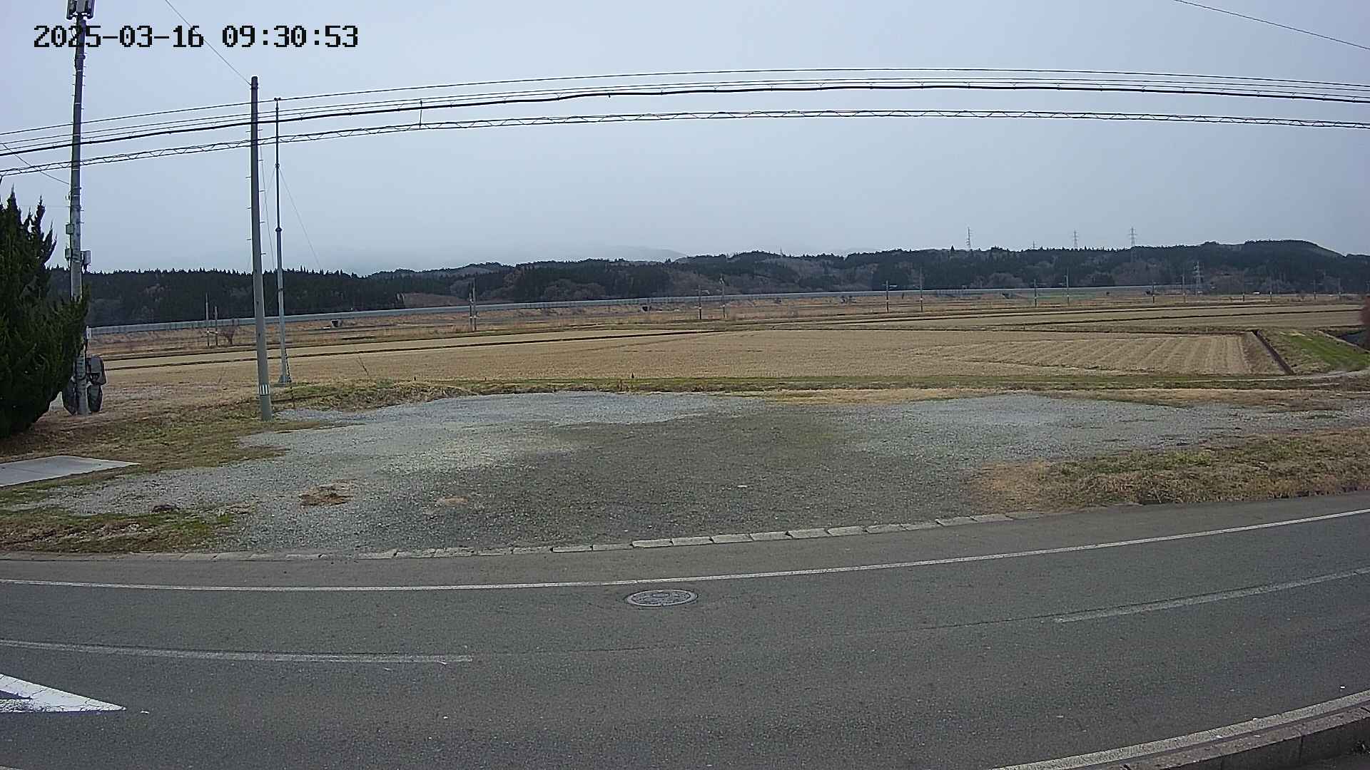 yotec5-20250316093055.jpg