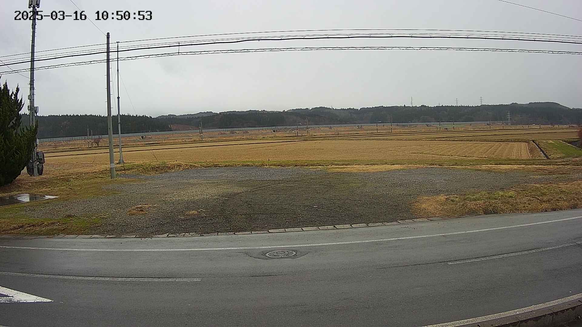 yotec5-20250316105055.jpg