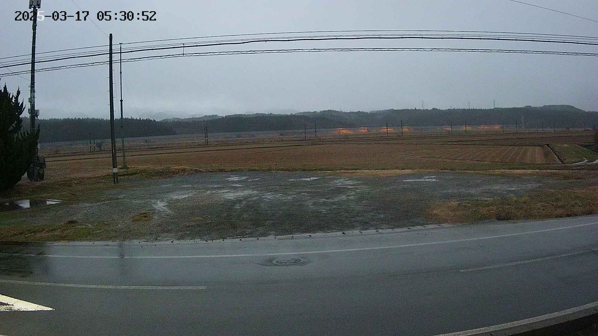 yotec5-20250317053053.jpg