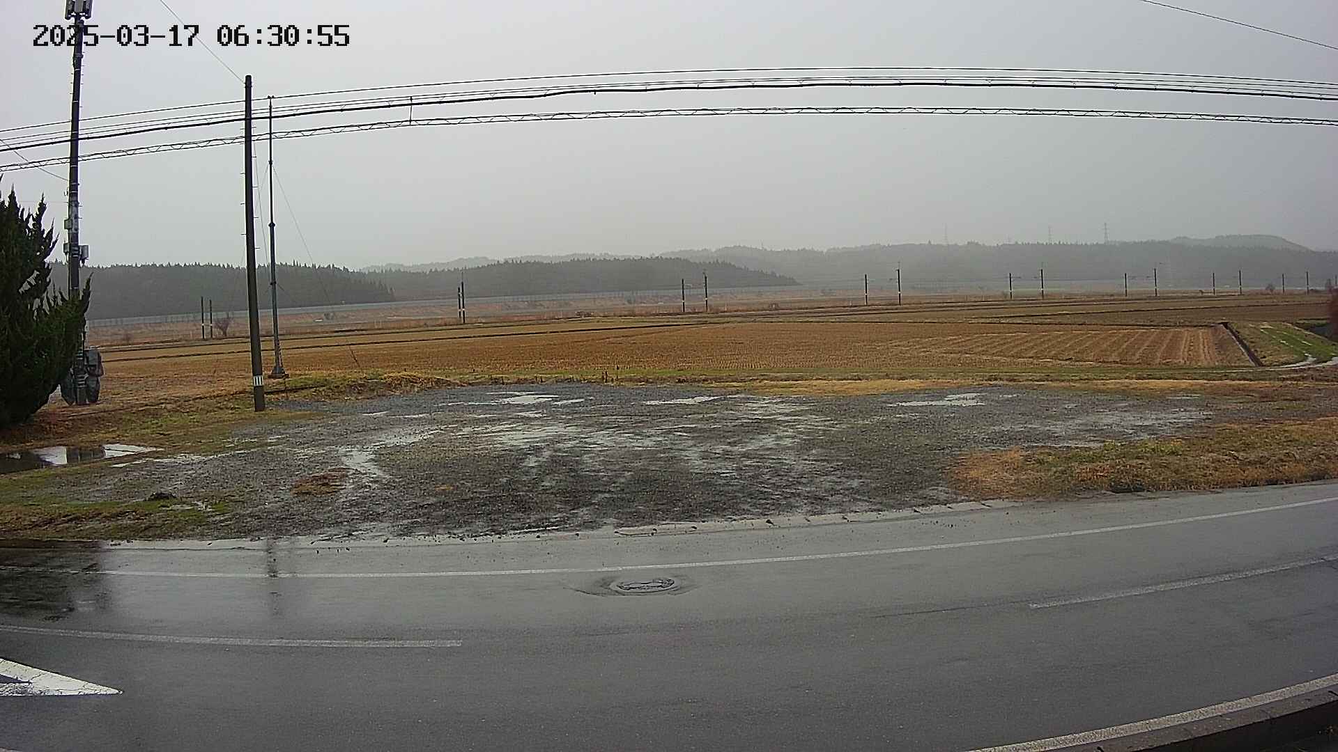yotec5-20250317063057.jpg