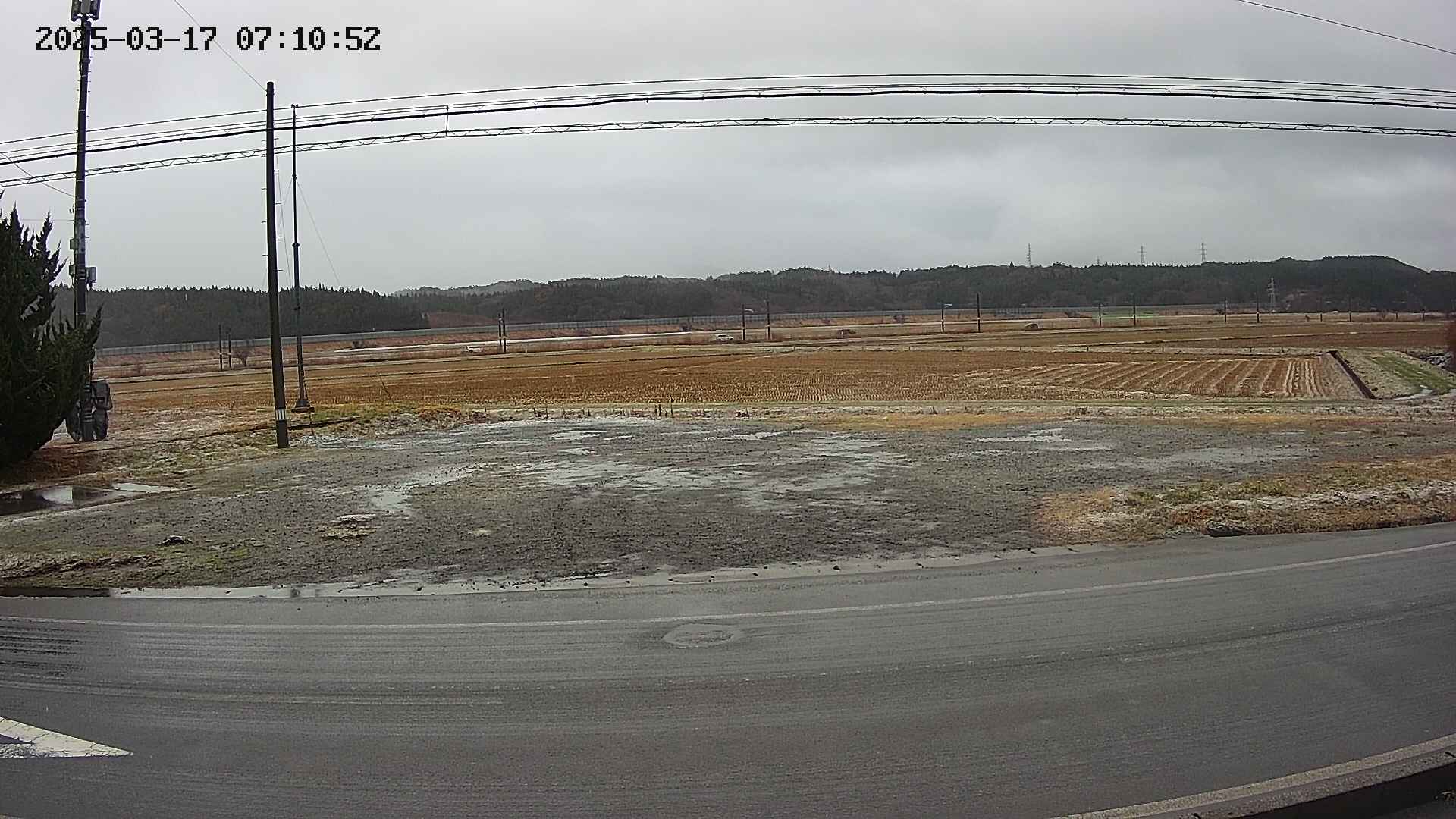 yotec5-20250317071054.jpg
