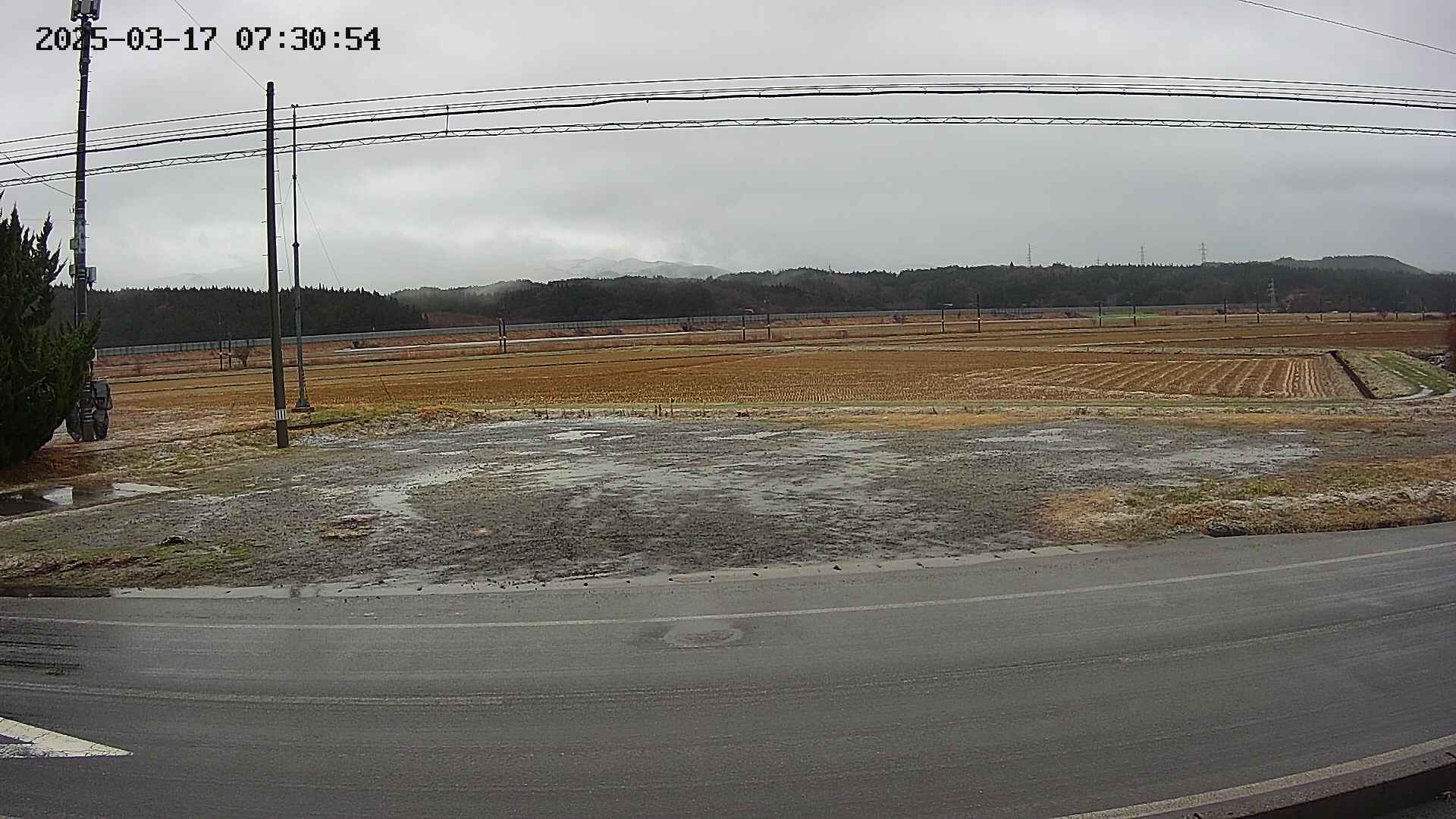 yotec5-20250317073056.jpg