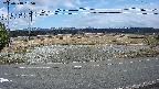 yotec5-20250318135058.jpg