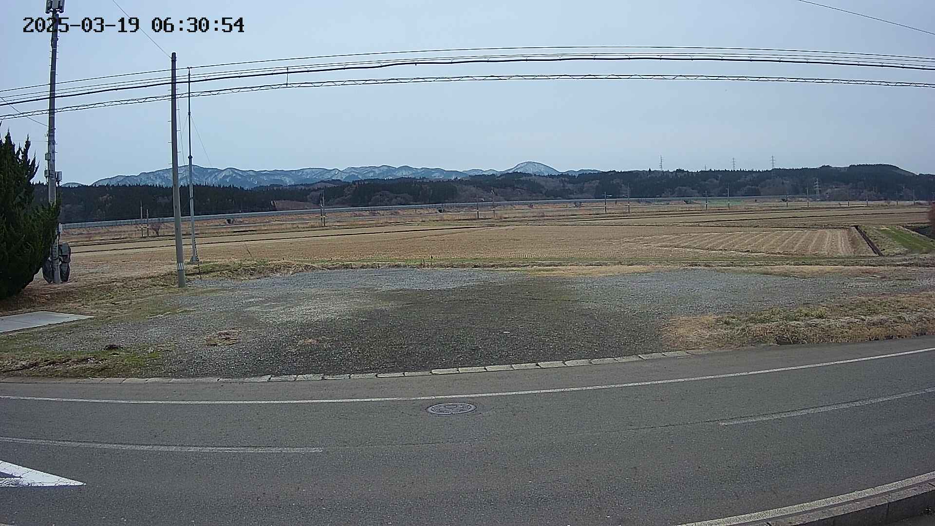yotec5-20250319063056.jpg