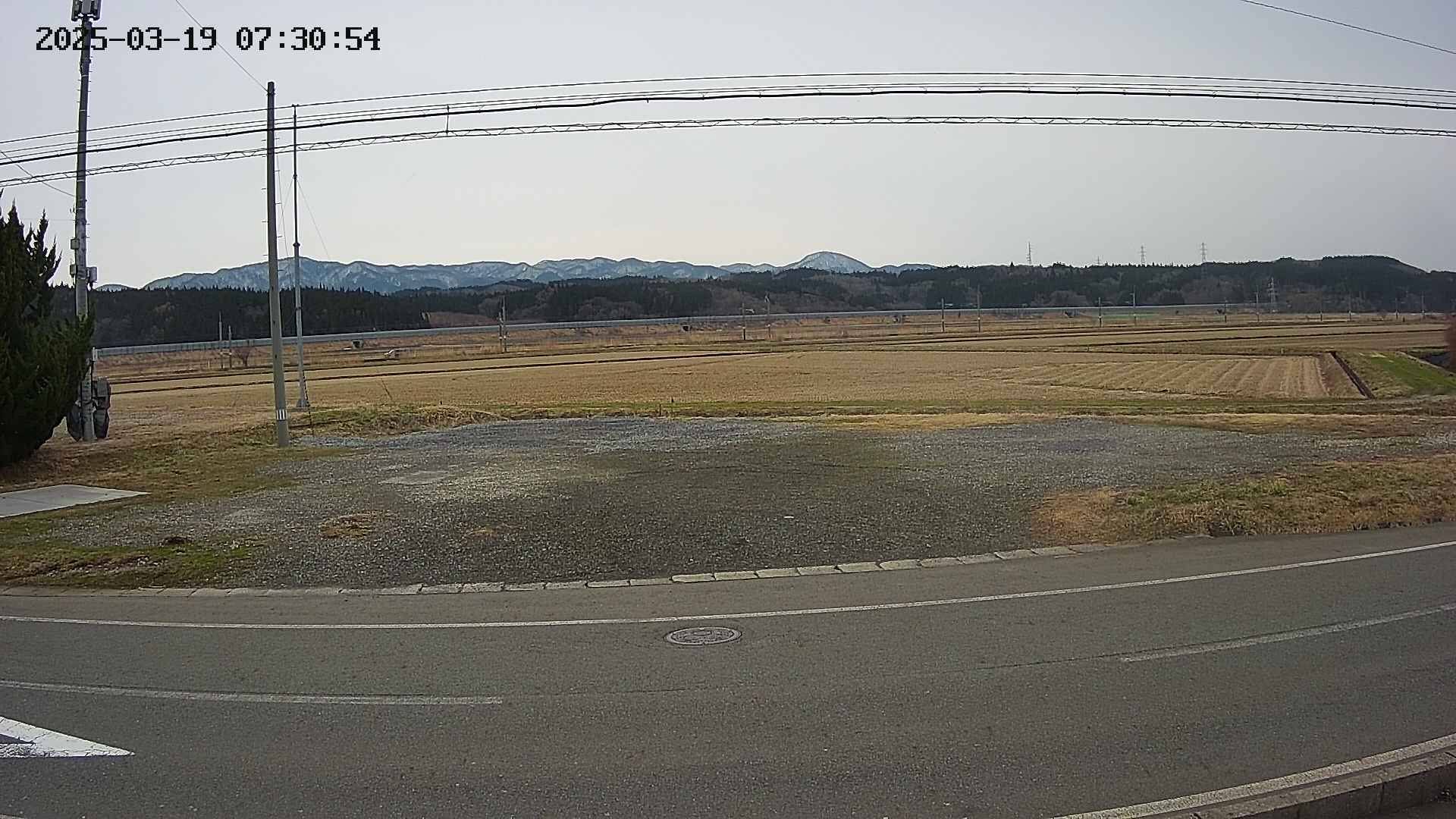 yotec5-20250319073055.jpg