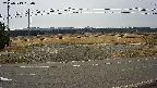 yotec5-20250319080057.jpg