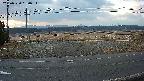 yotec5-20250320060053.jpg