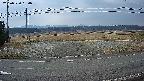 yotec5-20250320080056.jpg