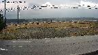 yotec5-20250320103055.jpg