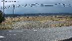 yotec5-20250320110059.jpg