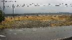yotec5-20250320121053.jpg